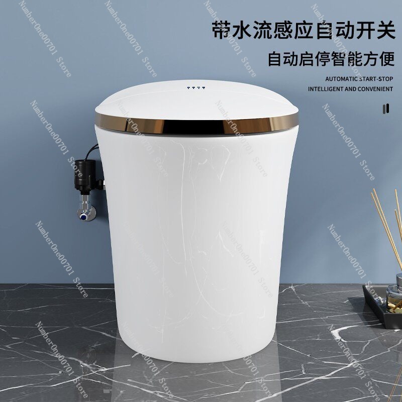Smart Toilet Booster Pump Auto - Home Bathroom Pressure Pump review and price